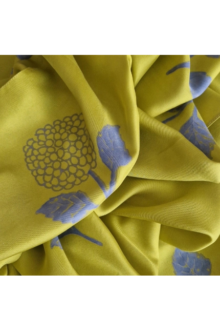 Golden Hydrangea Green