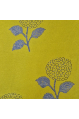 Golden Hydrangea Green