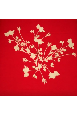 Soft Bloom-Poppy Red